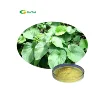 /product-detail/natural-plant-extracts-organic-kava-root-extract-fiji-kava-60780284720.html