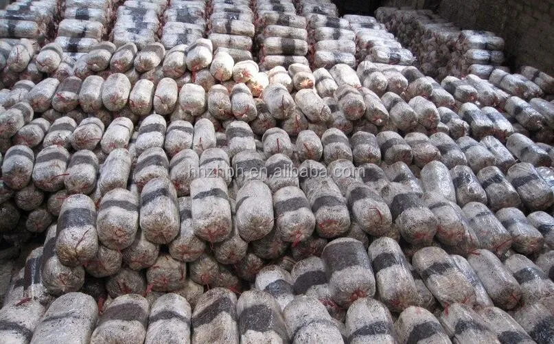 mushroom bagging machine 2.jpg