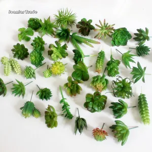 Image of Various Succulent Plants Artificial Decorative Landscape Decoration Flower Arrangement Mini Faux Green Plant Garden