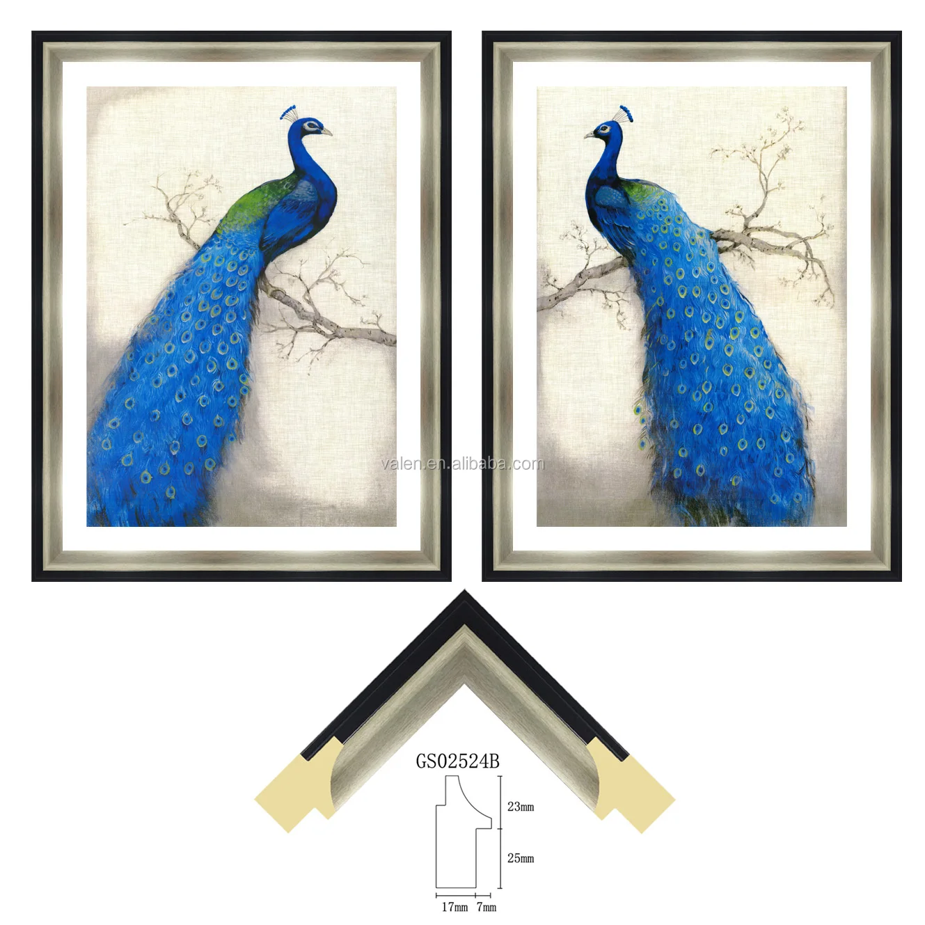 Colorful picture Frame