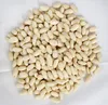 small size Peanuts with peanut price and roasted peanuts blanched