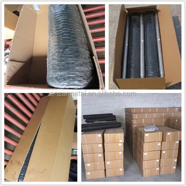 Hexagonal Mesh Chicken Run.jpg