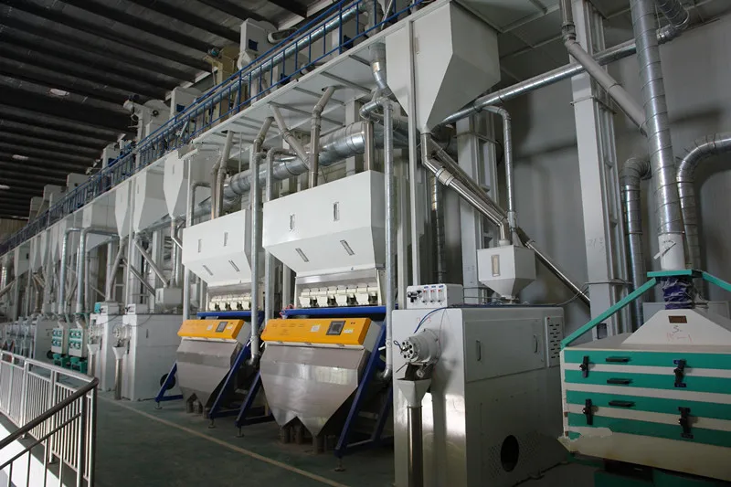 High Quality Rice/millet Processing Machine Millet Machine Buy Millet