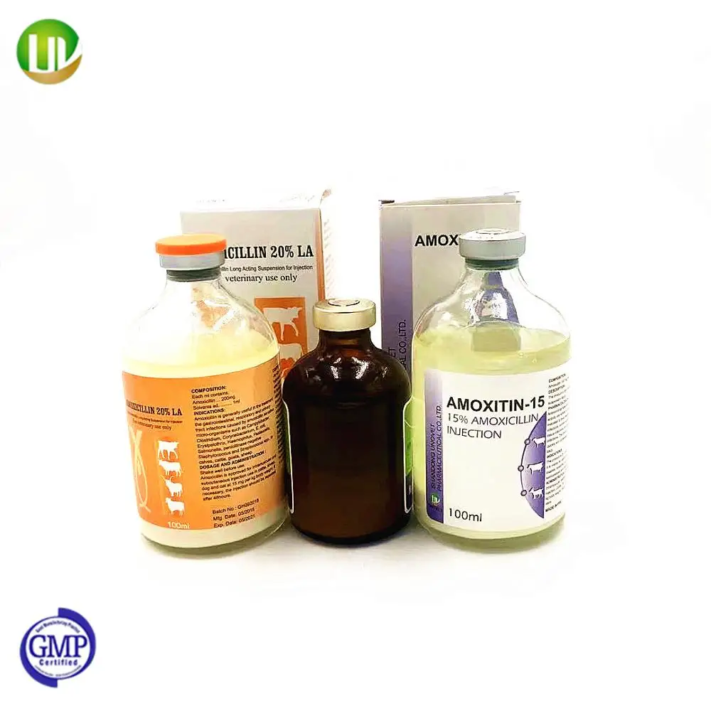 Amoxicillin Liquid Price