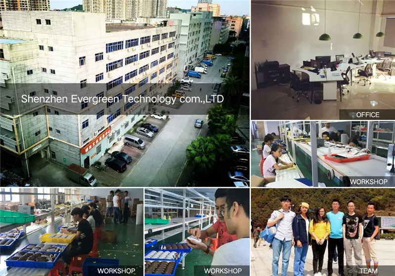 evergreentech company.jpg