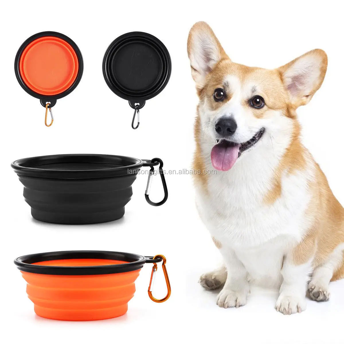 camping dog bowl