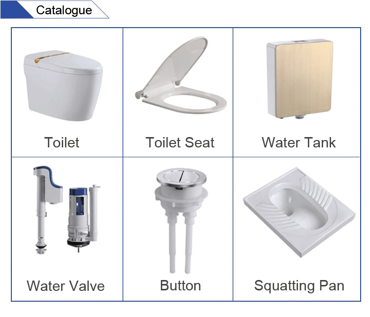 Dual Flush For Squattintg Pan Plastic Toilet Cistern Buy Toilet