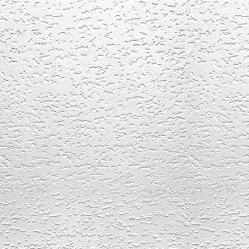 Ceiling Tile 1x1 By Usg Mfrpartno 824290 Building Materials