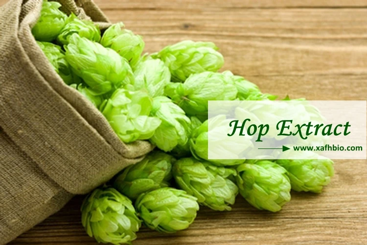 Hops Flower Extract Xanthohumol Supplement,Hops Extract - Buy Hops ...