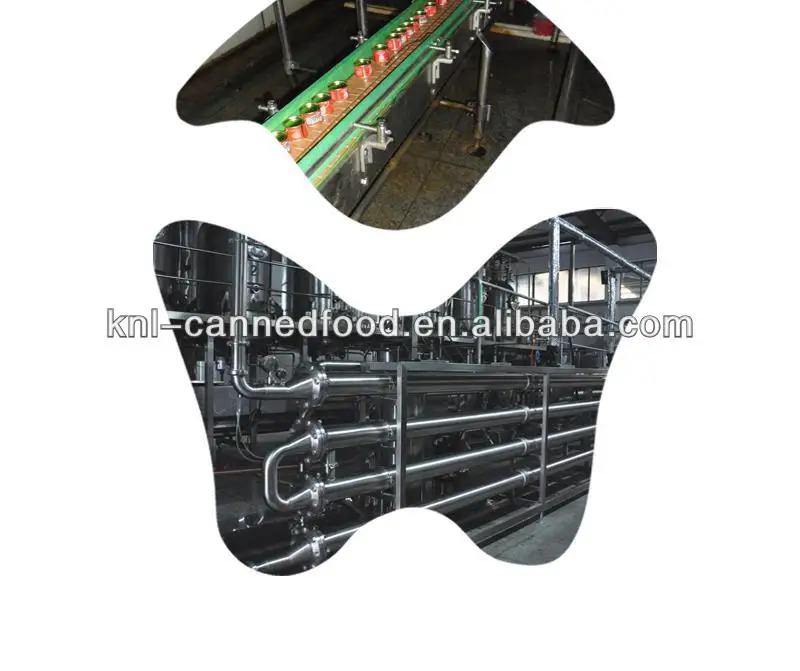 Tin tomato paste in can tomato paste production line 210gx48tins