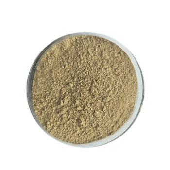 Anti Oxident Food Additives Organic Hazelnut Extract Powder - Buy ...