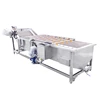 Good Quality Sea food Cleaning machine Small fish/Shrimp Washing machine