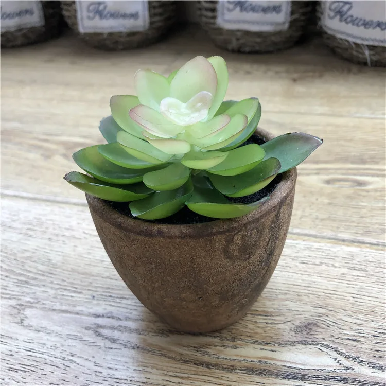 Artificial Succulent Plants Potted Artificial Succulent Plants