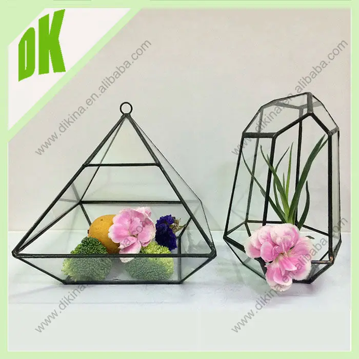 Diy "health Life,Fresh Air" Air Plant Glass Terrarium/glass Terrarium