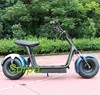 2000w 1500w citycoco front back suspension fat tire electric sightseeing bus/big power electric scooter