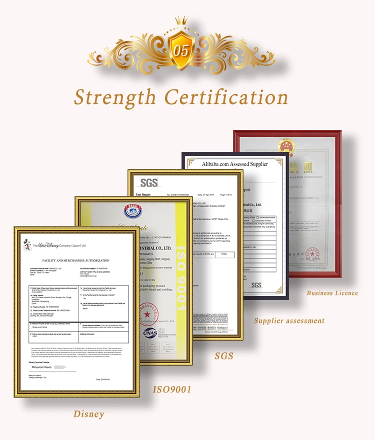 Earphone Packaging Blister\n Manufacturers.jpg