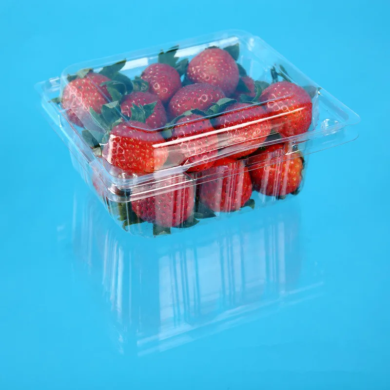 Transparent Pet Plastic Strawberry Packaging Container Disposable Clear