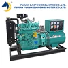 YUKUN QIANGWEI Brand New 20Kw 60HZ SinglePhase Diesel Powered Generator Free Ship to WorldWide