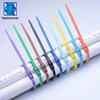 Eco-Friendly Colorful Flat Head Nylon Double Locking Head Cable Ties
