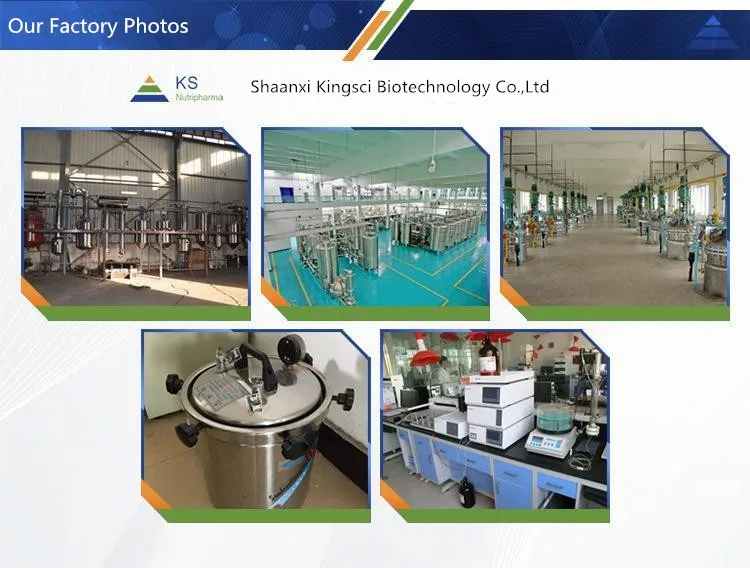 
98% Capsaicin Red Chilli Extract 