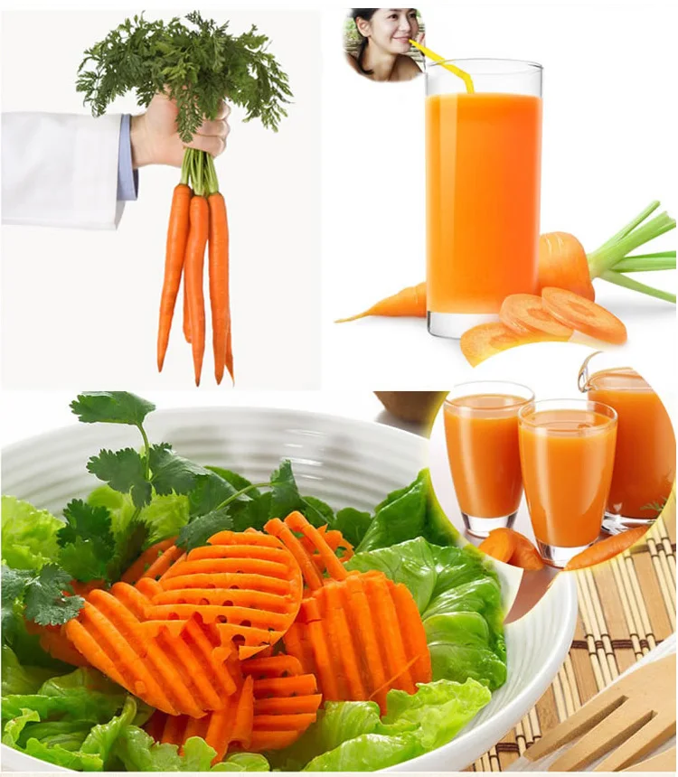 Wholesale Organic Fresh Carrots Best Price Yellow Cropped Carrots Direct From China