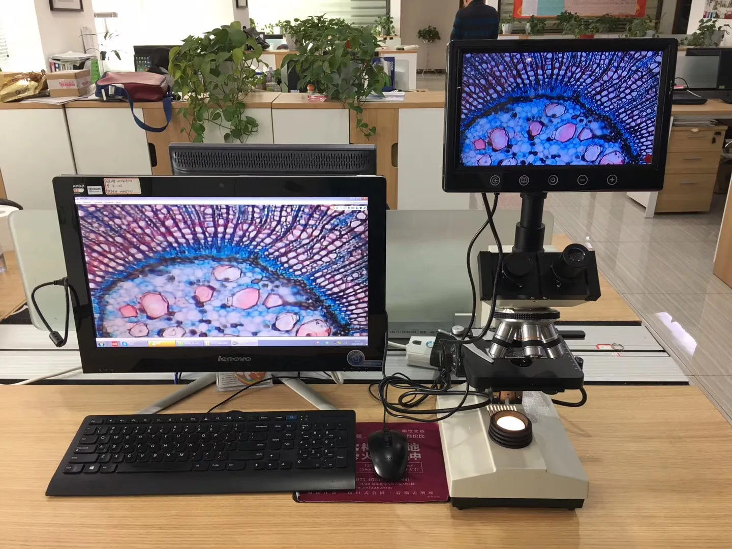 High Quality Digital Microscope WT-SHD2310 with 9.7 inch LCD Screen Price