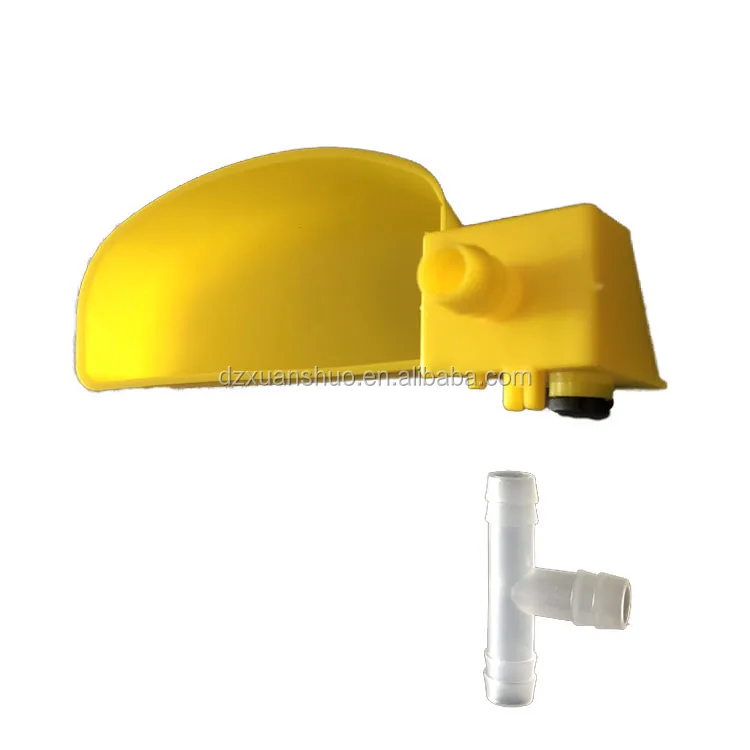 pigeon drinker 1.jpg