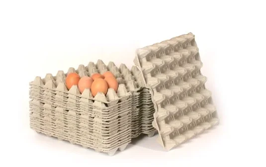 Бумажные яйца купить. Вакуумно формовочная машина Лим 2400 ячейка для яиц. Контейнер для яиц ВПС (100 шт.). Контейнеры для яиц картонные. Картонный лоток для яиц.