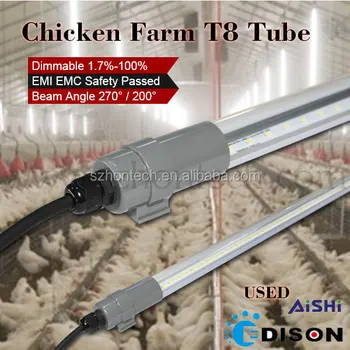 Led Chicken Light Supplemental Light For Chicken Coop Chicken Farm Lighting Buy Led Chicken Lightchicken Farm Lightinglight For Chicken Coop