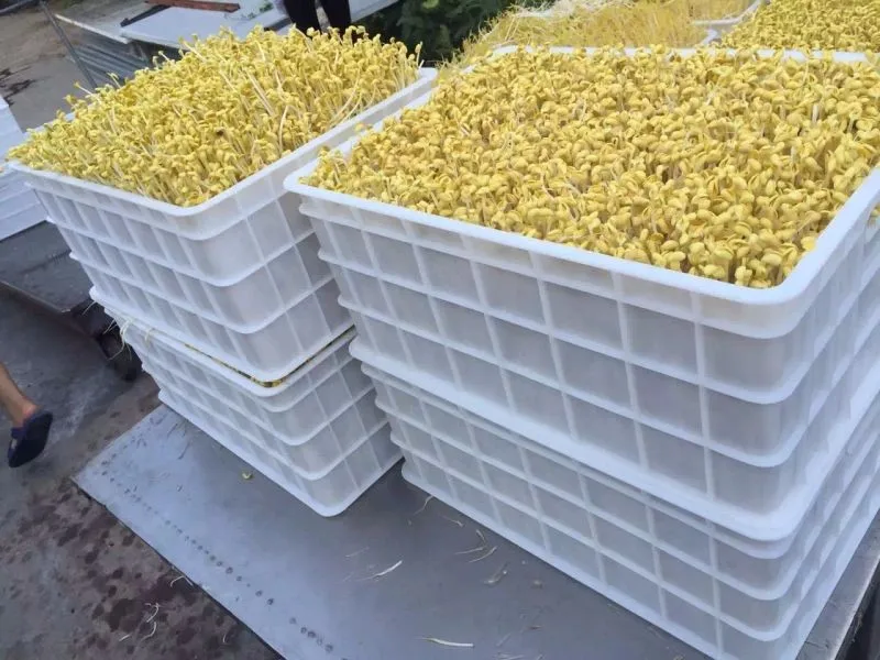 B7A360AB-4DAC-4196-AB8E-BE870DF9B434