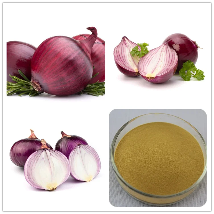 Quercetin Supplement Pure Allium Cepa Powder Red Onion Peel Extract