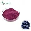 Brazil Fruit Juice Organic Acai Berry 100% Natural Extract Healthy Powder Supplier