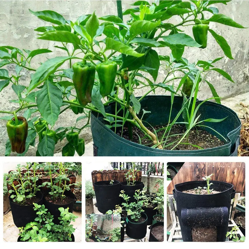 garden plant bags.jpg