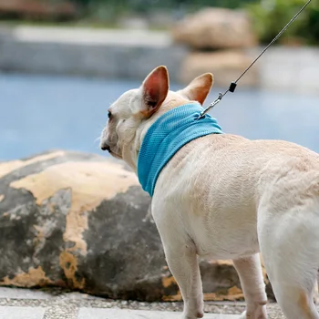 ペット冷却バンダナ犬スカーフブルドッグ夏タオルラップ Buy ペット冷却バンダナ 犬冷却スカーフ ブルドッグ夏冷却タオル Product On Alibaba Com