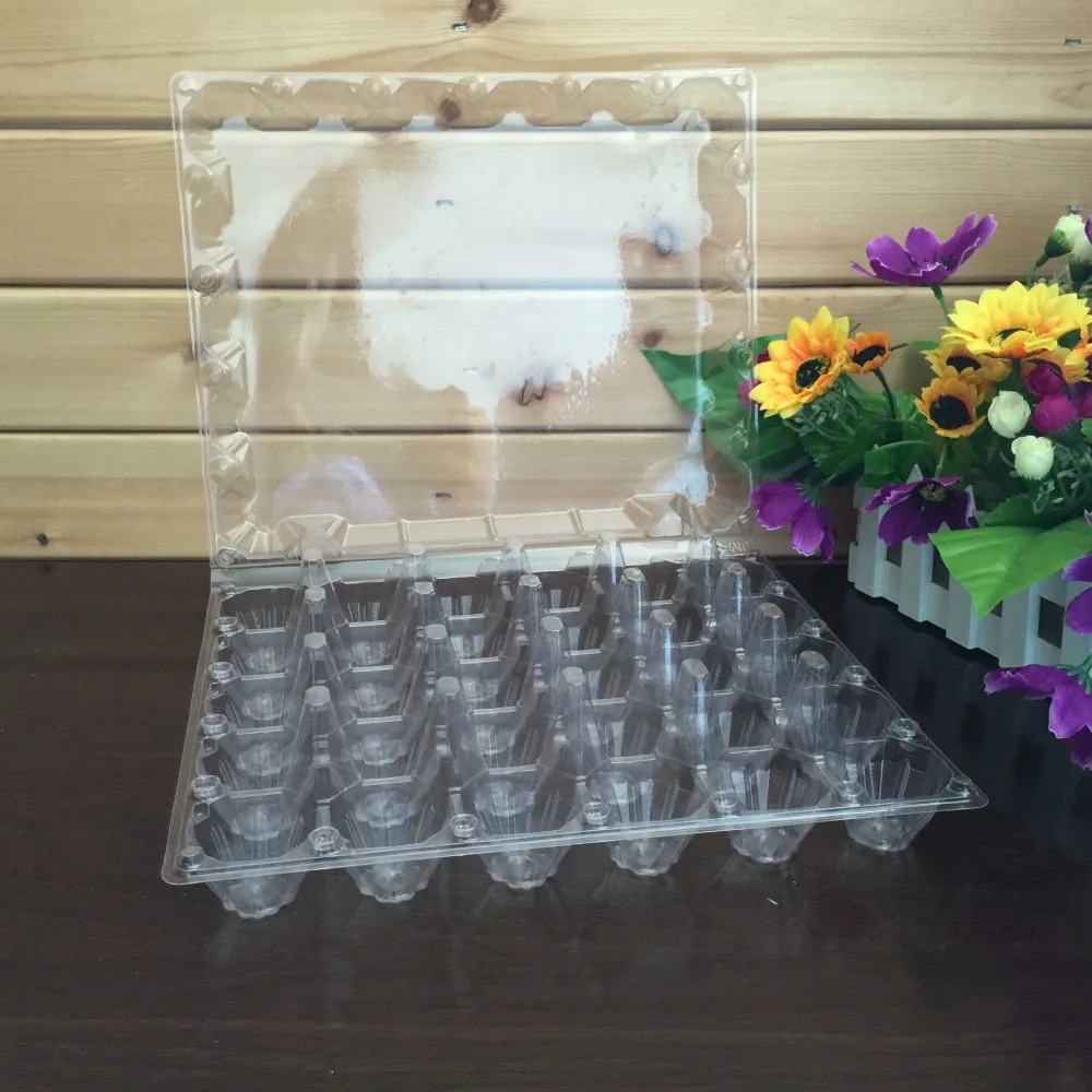 Plastic Quail Tray Quail Egg Packaging Quail Egg Cartons For Sale Buy