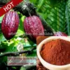 Cacoa Extract Powder