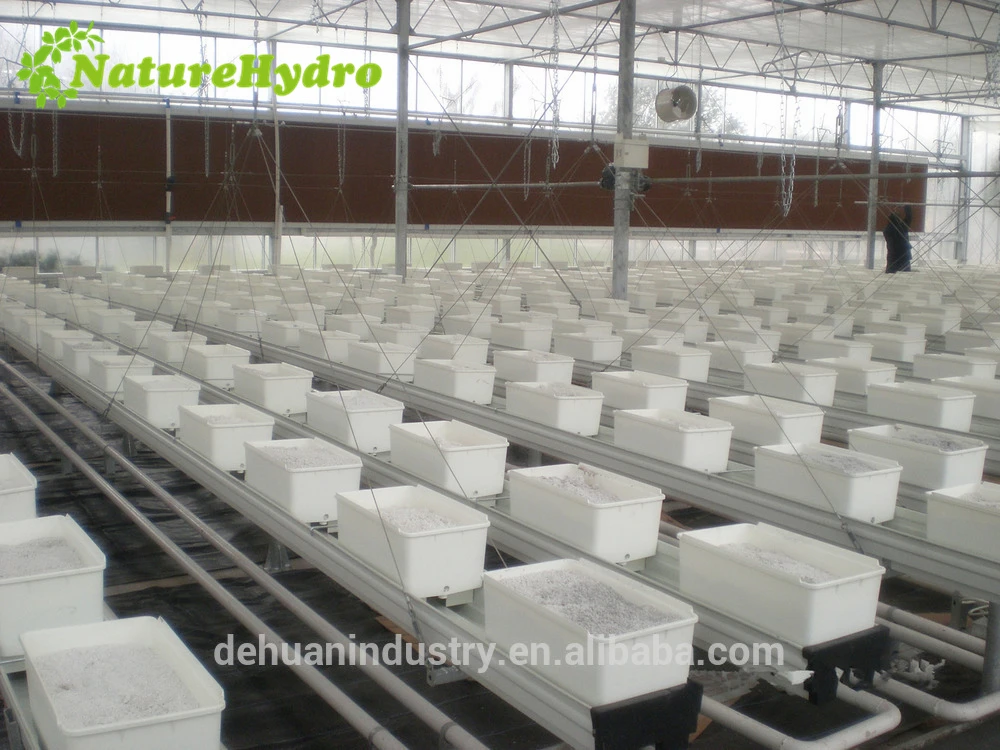 Square Plastic Bato Bucket Hydroponic Grow Trough System For Strawberry