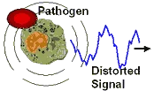 Touch screen bio resonance therapy ssch brt from Russia