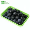 COLORFUL DISPOSABLE PLASTIC VEGETABLE FRUIT TRAY