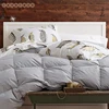 Factory Price Sell Well SGS Standard Fabric Bed Comforter Queen Size Thick Microfiber Patchwork Luxury Down Quilt