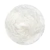 Top selling 10:1 bulk honeydew melon powder