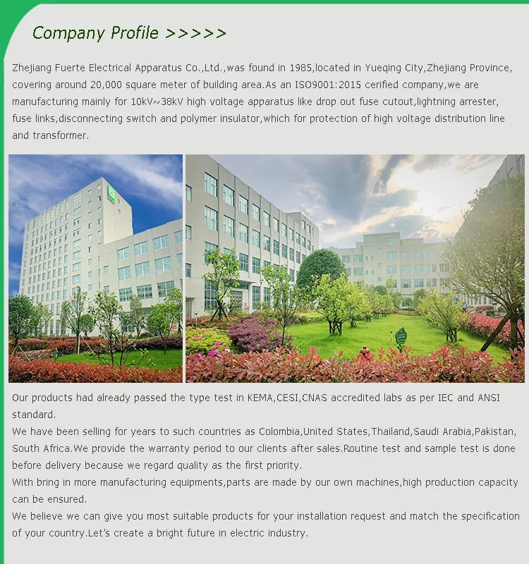 company profile