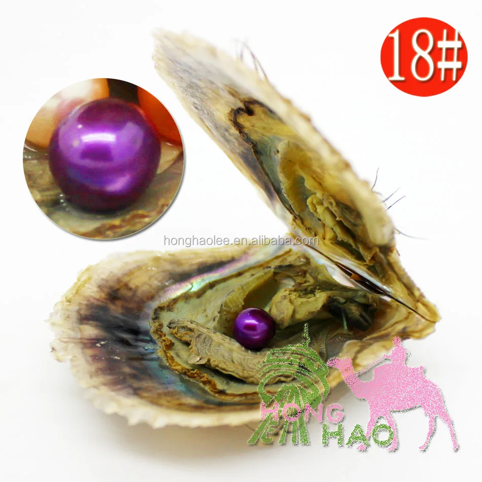 

4A grade 6-7mm color #18 vacuum packed oysters akoya pearl oyster saltwater pearl oyster many colours stock free shipping