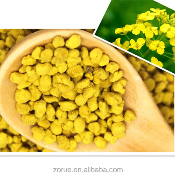 rape pollen2_