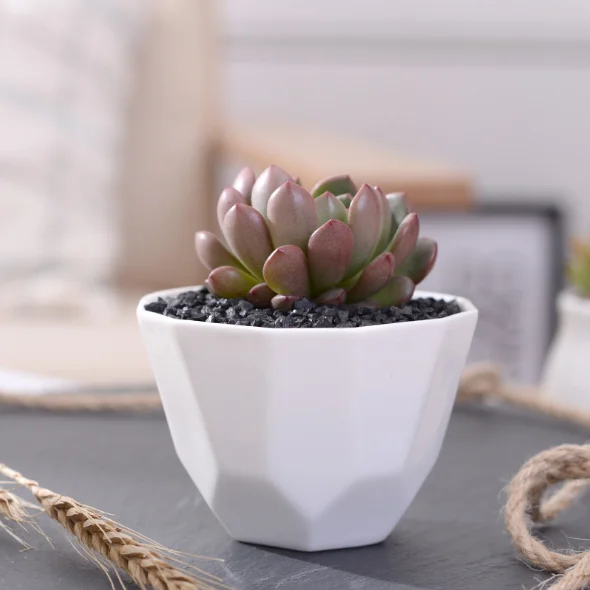 ceramic flower pot (25).png