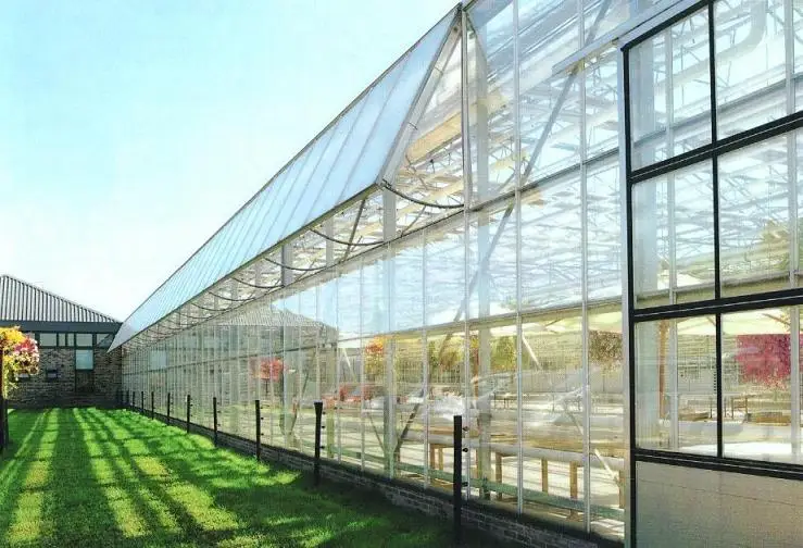 baolida venlo glass greenhouse used commercial gree