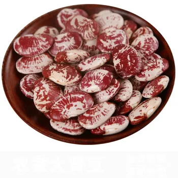 bean plant seeds images