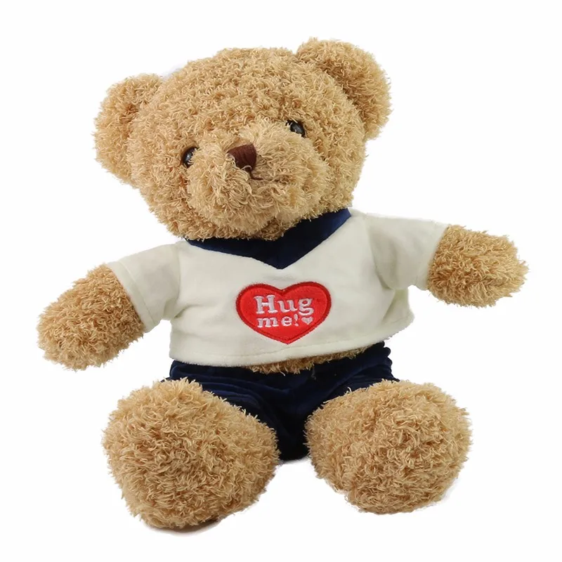 hug me teddy bear