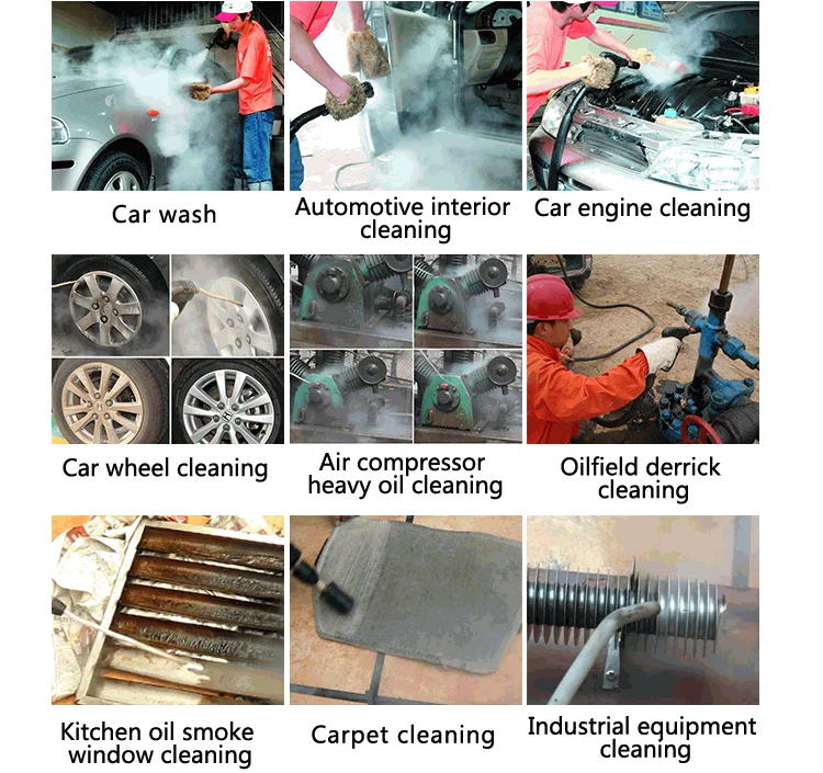 Steam Wet And Dry Car Washer Mobile High Pressure Steam Cleaning