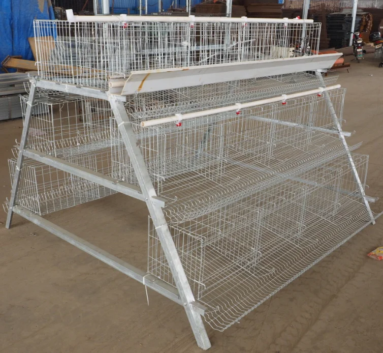 Customized H Types Of Poultry Farms Layer Chicken Cages For Sale Buy